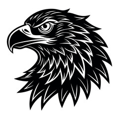 Bald eagle head illustration  majestic bird of prey vector