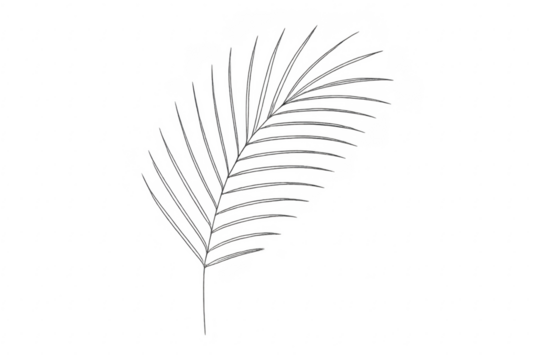 Palm leaf shadow overlay casting tropical design