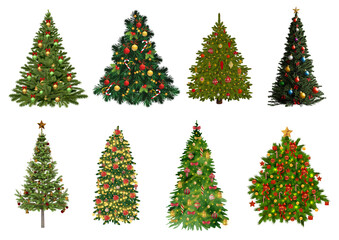 Set of Decorated Christmas Trees Collection