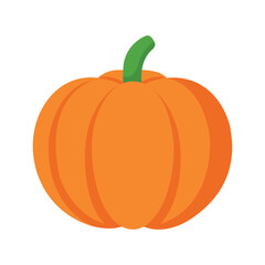 Pumpkin illustration  decorative orange vegetable vector