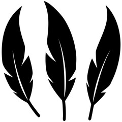 Feather icons. Set of black feather icons isolated. Feather silhouettes. 