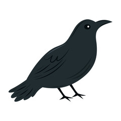 A simple, flat vector illustration of a black crow or raven. The side profile shows the bird standing, perfect for spooky Halloween designs or nature-themed projects