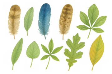 Watercolor collection with diverse feathers and green, yellow tree leaves, a nature-inspired design element set