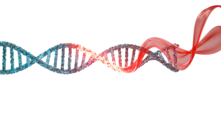 DNA strand with aids awareness ribbon representing genetic research and the fight against hiv and aids, on a transparent background