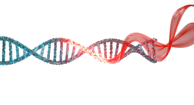 DNA strand with aids awareness ribbon representing genetic research and the fight against hiv and aids, on a transparent background