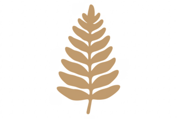 Stylized brown autumn fern leaf on transparent background