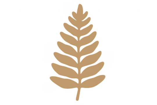 Stylized brown autumn fern leaf on transparent background