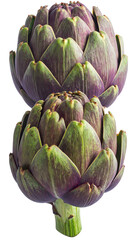 Obraz premium Organic Artichokes with Stems Isolated on White 