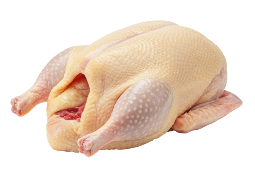 Isolated raw duck, whole bird uncooked, fresh poultry meat, culinary preparation, food dish
