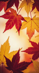Obraz premium Close-up of red and yellow maple leaves against a blurred background, representing autumn, transition, and the beauty of natural change