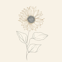 Elegant Sunflower Continuous Line Art Illustration