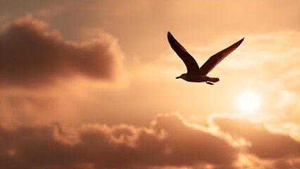 A seabird in flight silhouetted against a golden sunset. Concept Seabird Silhouette, Golden Sunset, Ocean Horizon, Coastal Wildlife, Evening Sky