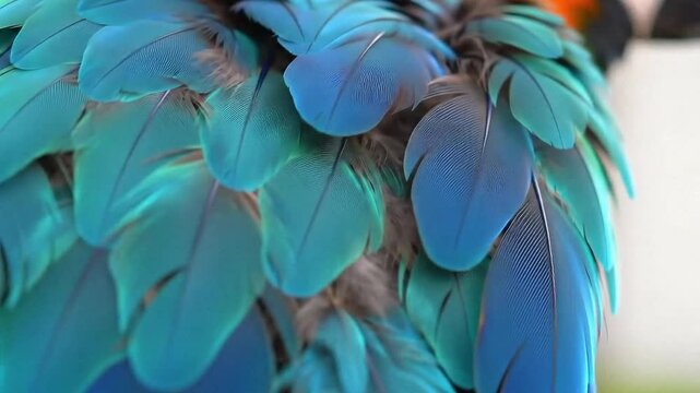 Close Up Macro Shot of Macaw Feathers Highlighting the Vibrant Blue and Turquoise Natural Pattern Texture Vivid Colors and Detailed Texture