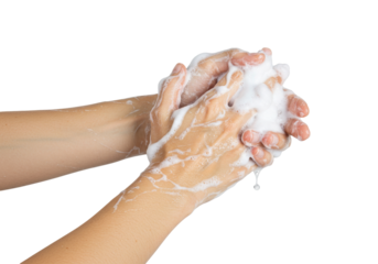 Isolated hands with soap lather for proper hand washing technique, hygiene during virus season