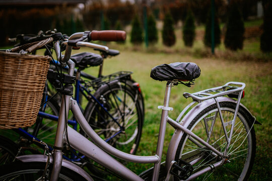 Bicycles parked on green grass, featuring a vintage design with a wicker basket, showcasing a serene outdoor environment and inviting atmosphere for cycling enthusiasts