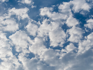 秋の空に浮かぶひつじ雲