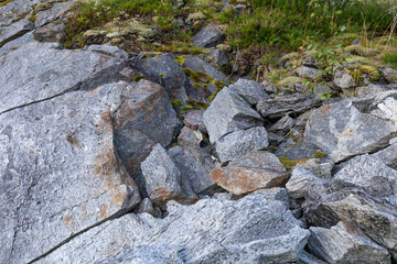 Hermelin zwischen Felsen am Stetind in Nordnorwegen