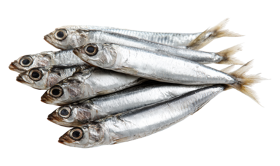 Stacked sardines with iridescent silver-blue bodies and orange fins on transparent  backdrop, highlighting freshness, seafood appeal, and culinary versatility for market or kitchen contexts.