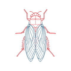 Sleek Flea Line Art Illustration Vector