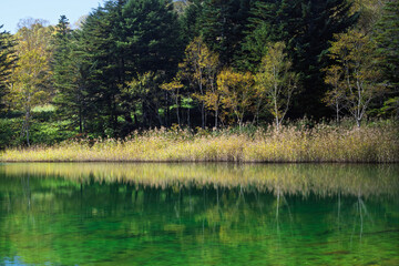 万座温泉の牛池