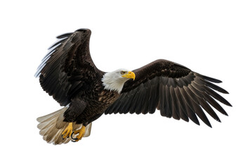 Obraz premium Majestic bald eagle in flight isolated on transparent background