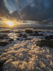The Adelaide algal bloom at dusk
