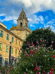 Historic stone bell tower rising above garden flowers
