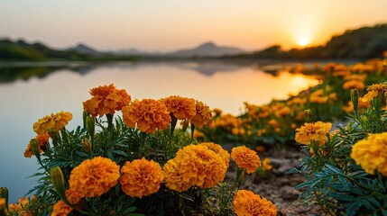Vibrant orange marigolds bloom beside serene lake at golden hour with soft sunset glow illuminating distant hills