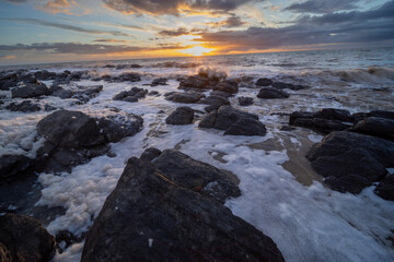 The Adelaide algal bloom at dusk