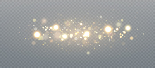 Soft shimmering glitter and bokeh particles on a transparent background. Light overlays create festive highlights and a fairy dust effect.
