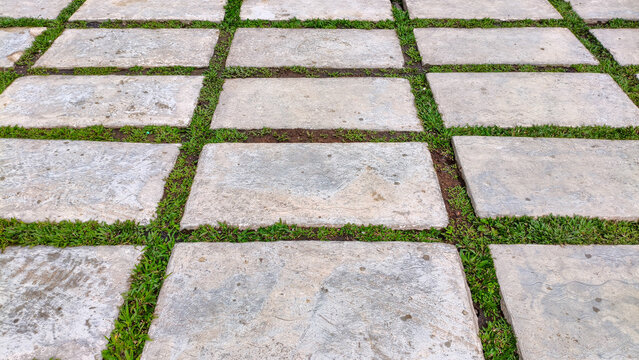photo of paving block floor in garden with green grass line accent