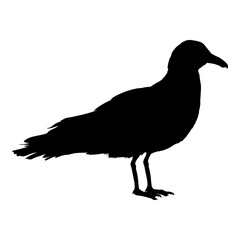 Standing Seagull Vector Silhouette Illustration