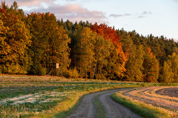 Autumn landscape with colorful trees and forests in shades of orange, red, and yellow near fields and wildlife observation towers, creating a peaceful seasonal scene.