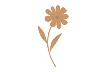 Beige simple stem flower drawing transparent background