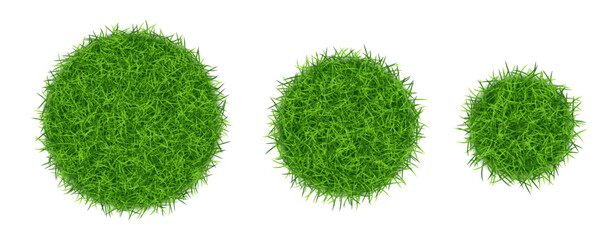 Round circle green grass isolated. Vector