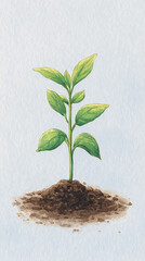 Nurturing New Beginnings: A Vibrant Seedling Emerging from Earth, Symbolizing Growth and Sustainability in Nature's Cycle