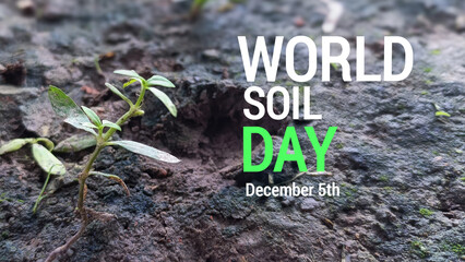 Celebrating World Soil Day December 5th Nurturing the Foundation of Life for a Sustainable Future