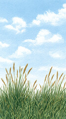 Captivating Scenic View of Lush Grass Under a Bright Blue Sky with Fluffy Clouds, Offering a Tranquil Moment in Nature Perfect for Art and Relaxation