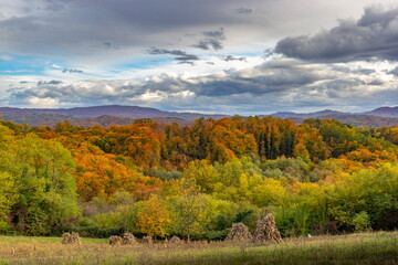 Colorful autumn mountain scenery with forests and fields in bright fall tones