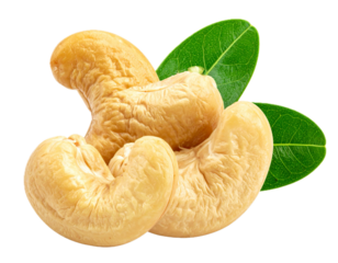 Roasted cashew nuts with green leaves isolated.