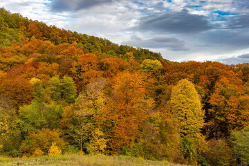 Colorful autumn mountain scenery with forests and fields in bright fall tones