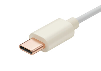 Isolated USB-C connector with golden pins used for data transfer and charging mobile phones