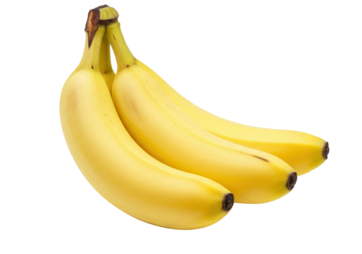 Isolated bunch of three fresh yellow bananas for healthy food, snack, fruit diet idea