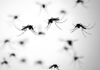 Close-up macro view of numerous small dark mosquitoes in flight against a bright
