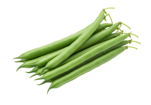 Isolated pile of uncooked string beans, fresh and green, ready for market or kitchen table