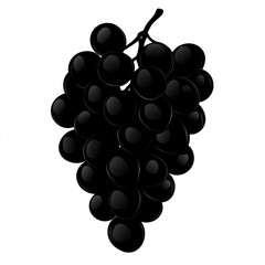Illustration of a bunch of black grapes isolated on white background, showcasing its round shape, stem, and the clustered arrangement of the fruits