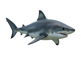 Obraz premium Great white shark swimming isolated on transparent background