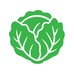 cabbage isolated on white