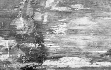 Close-up of a worn gray wooden surface showcasing natural details and textures