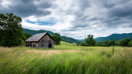 Obraz premium A beautiful, sun-drenched spring summer meadow. Natural colorful panoramic landscape with many wild flowers of daisies against blue sky. A frame with soft selective focus.